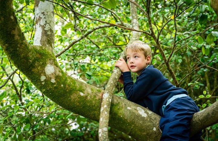 W PP Outdoor Classroom 19