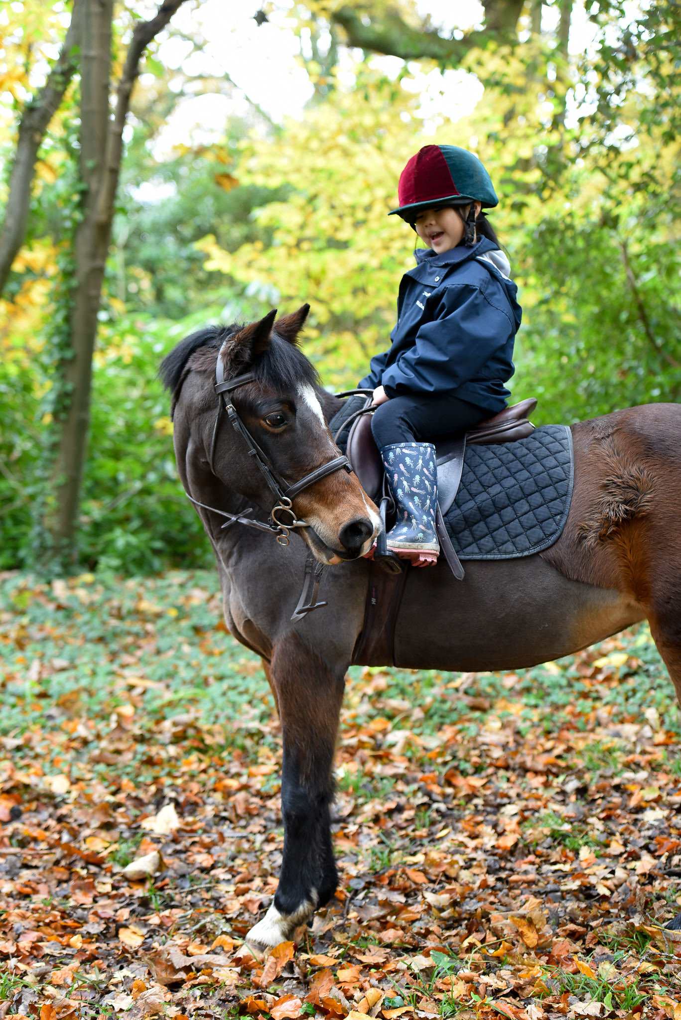 Horse riding store for children